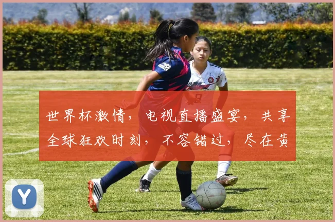 世界杯激情，电视直播盛宴，共享全球狂欢时刻，不容错过，尽在黄金时段