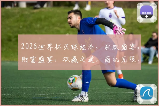 2026世界杯买球经济，狂欢盛宴，财富盛宴，双赢之道，商机无限，不容错过