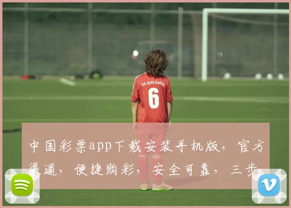 中国彩票app下载安装手机版，官方渠道，便捷购彩，安全可靠，三步轻松拥有