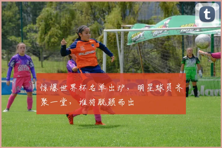 惊爆世界杯名单出炉，明星球员齐聚一堂，谁将脱颖而出